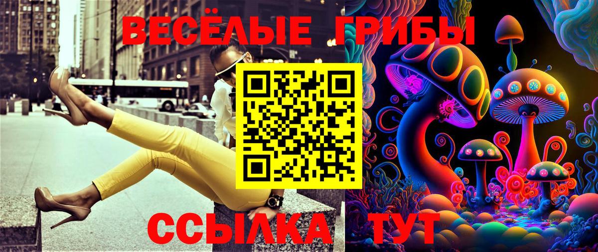 где купить наркотик  Галлюциногенные грибы Psilocybine cubensis  Вход с VPN  Псилоцибиновые грибы мухоморы  Хабаровск 